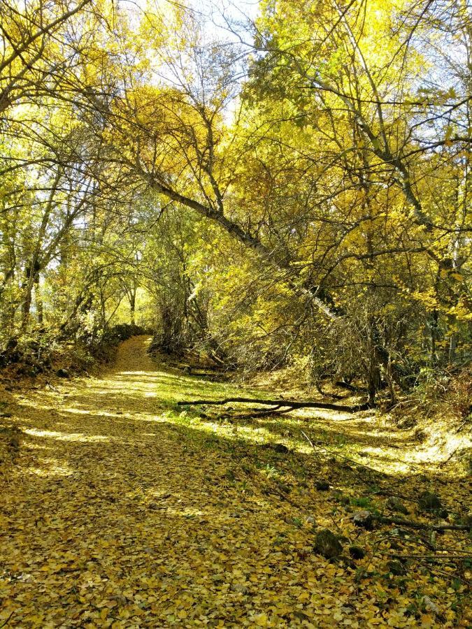 Вилла La Majada De Alameda Аламеда-дель-Валье Экстерьер фото